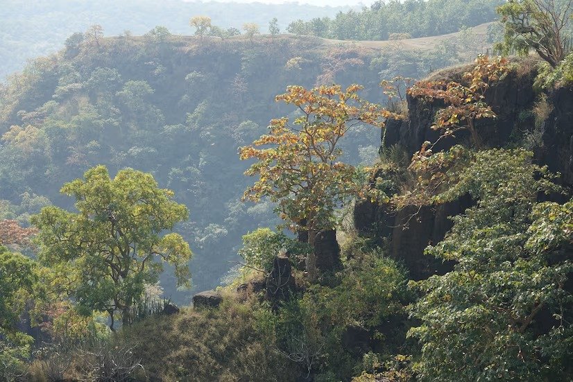 Couple enjoying view
